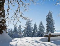 电竞比賽(sài)吸引全球年轻观众