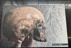 吉林(lín)辽源有座(zuò)山，层层叠叠垒满白骨