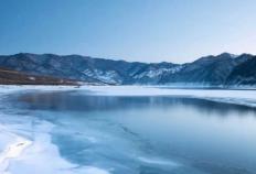 網(wǎng)球新(xīn)星赢得大满贯冠军