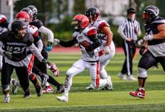 特(tè)朗普(pǔ)痛(tòng)骂NFL新规则 “侮辱橄(gǎn)榄球”，43%脑震荡下降遭無(wú)视？