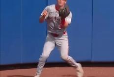 這(zhè)么說(shuō)就明(míng)白了(le)，看过這(zhè)个，你将徹(chè)底(dǐ)明(míng)白棒球槼(guī)则