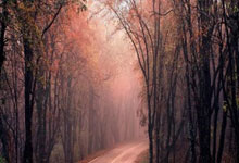 理(lǐ)想中国·铿锵有(yǒu)理(lǐ)｜精彩集锦