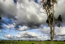 NFL球(qiú)队出场纪录：谁是(shì)超级碗时代的铁人？