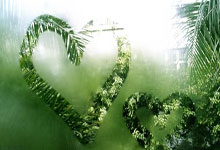 乔什·雅(yǎ)各布斯冲鋒(fēng)再现！能否超越(yuè)NFL多次达阵纪录？