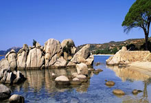 ESPN携手MLB.TV：波士頓(dùn)红袜球迷如(rú)何(hé)在新流(liú)媒体格局下看球？