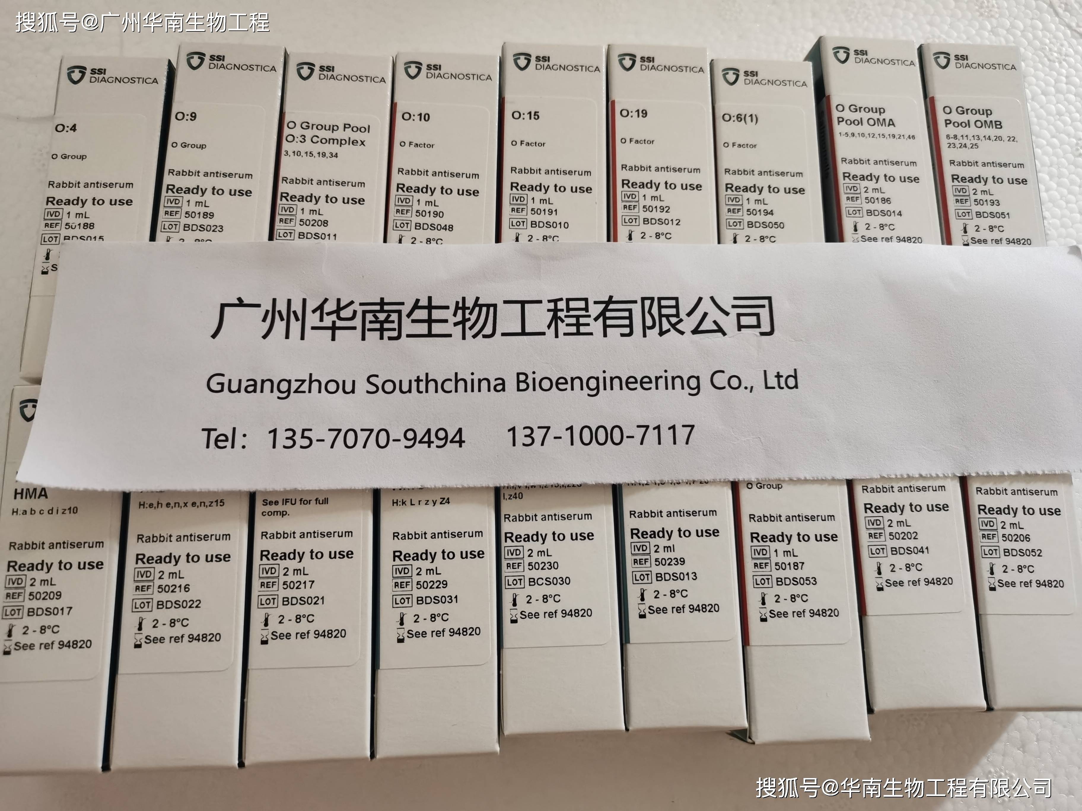 丹(dān)麦ssi中国官网中文版