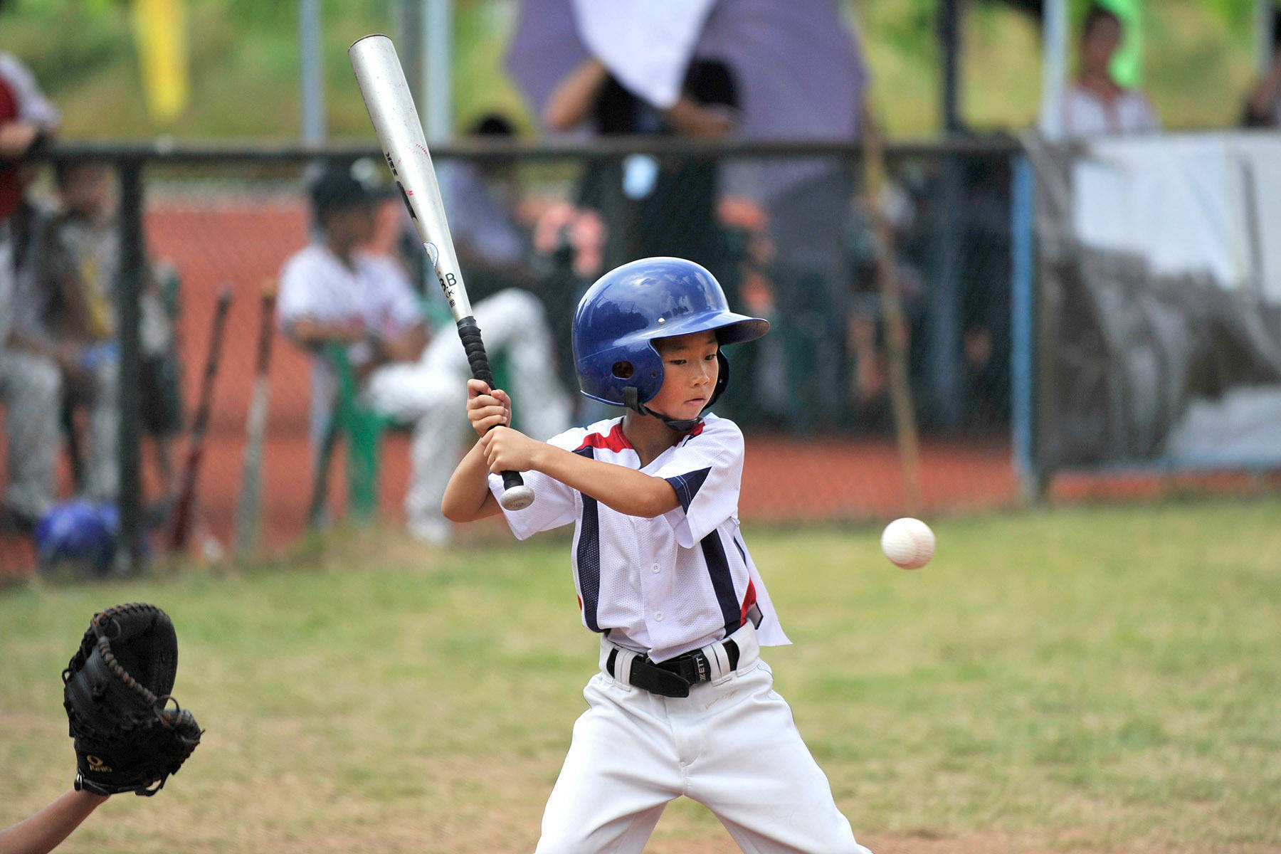 图集｜“棒球之(zhī)城(chéng)”中山，正全力揮(huī)出“本垒打”