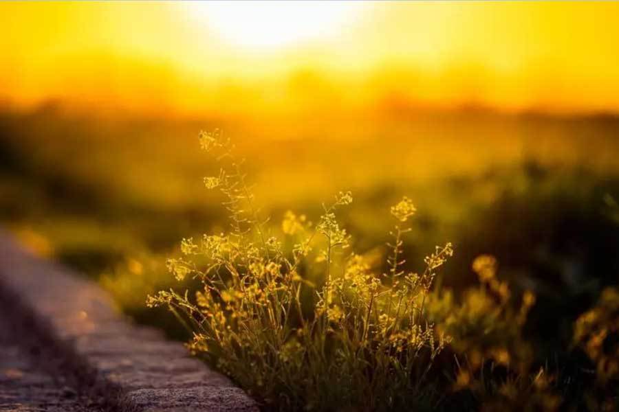 电竞比賽(sài)吸引全球年轻观众